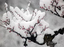   укрепление здоровья в сезон «сяохань» («малый холод»)